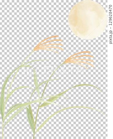 水彩で描いたお月見のイラスト素材 129628470