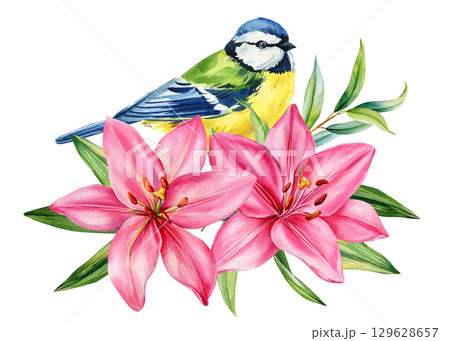 Blue tit bird with pink lilies and green leaves watercolor exotic floral botanical illustration Blue tit bird with pink lilies and green leaves watercolor exotic floral botanical illustration 129628657