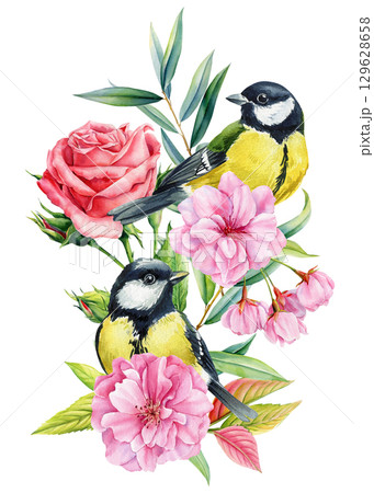Two great tit birds with pink roses cherry blossoms and camellia flowers watercolor floral illustration Two great tit birds with pink roses cherry blossoms and camellia flowers watercolor floral illustration 129628658