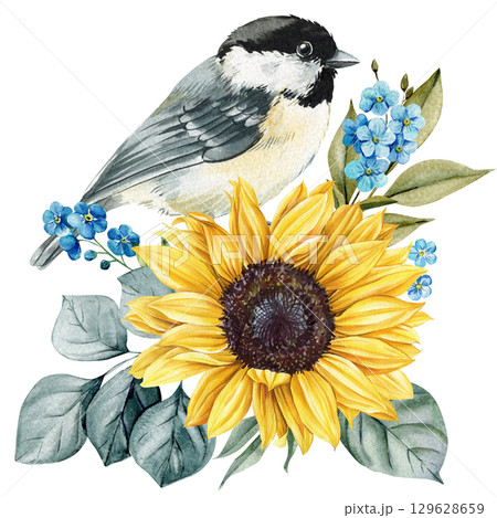 Chickadee bird with bright yellow sunflower and blue forget me not flowers watercolor summer garden illustration Chickadee bird with bright yellow sunflower and blue forget me not flowers watercolor summer garden illustration 129628659