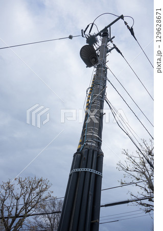 見上げる色々付いた電信柱	 129628671