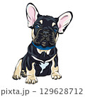 French Bulldog puppy vector illustration 129628712