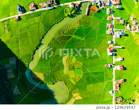 Aerial top view of Green rice field at northern vietnam,Beautiful destination in Northern Vietnam,Travel and landscape concept, Nature and rice fields background Aerial top view of Green rice field at northern vietnam,Beautiful destination in Northern Vietnam,Travel and landscape concept, Nature and rice fields background 129629547