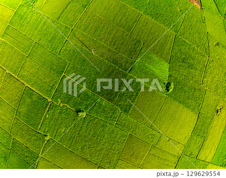 Aerial top view of Green rice field at northern vietnam,Beautiful destination in Northern Vietnam,Travel and landscape concept, Nature and rice fields background Aerial top view of Green rice field at northern vietnam,Beautiful destination in Northern Vietnam,Travel and landscape concept, Nature and rice fields background 129629554