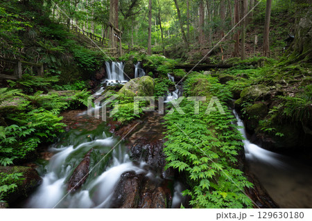 新緑の瓜破の滝(福井県三方上中郡若狭町) 新緑の瓜破の滝(福井県三方上中郡若狭町) 129630180