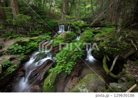 新緑の瓜破の滝(福井県三方上中郡若狭町) 新緑の瓜破の滝(福井県三方上中郡若狭町) 129630186