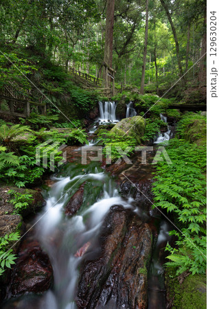 新緑の瓜破の滝（福井県三方上中郡若狭町） 129630204