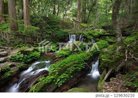 新緑の瓜破の滝(福井県三方上中郡若狭町) 新緑の瓜破の滝(福井県三方上中郡若狭町) 129630210