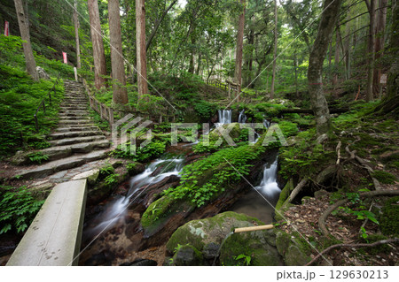 新緑の瓜破の滝（福井県三方上中郡若狭町） 129630213