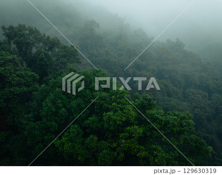 Aerial view of beautiful tropical forest mountain landscape in spring 129630319