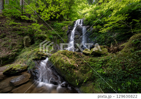 亀が淵（福井県小浜市） 129630822