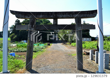埼玉県深谷市折之口の八幡神社 129631379