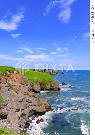 琵琶瀬から望む嶮暮帰島と太平洋の夏景色（北海道浜中町） 129631387