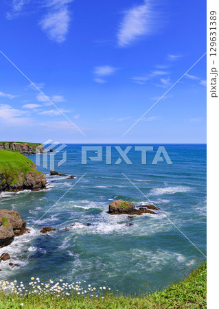 琵琶瀬から望む嶮暮帰島と太平洋の夏景色(北海道浜中町) 琵琶瀬から望む嶮暮帰島と太平洋の夏景色(北海道浜中町) 129631389