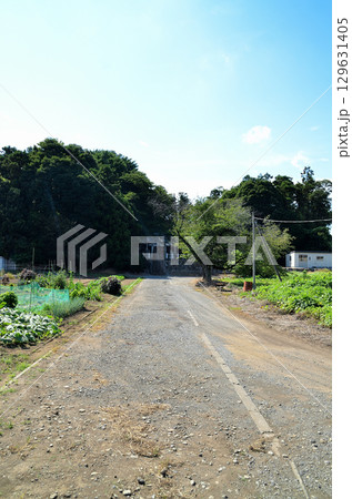 埼玉県深谷市折之口の八幡神社 129631405