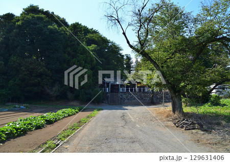 埼玉県深谷市折之口の八幡神社 129631406