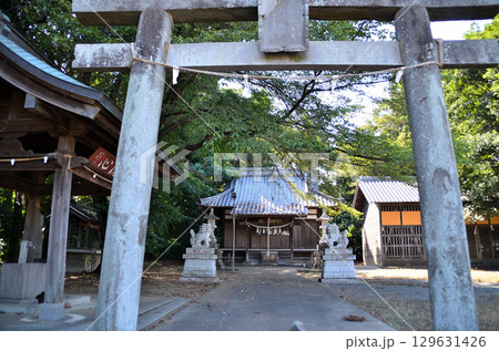 埼玉県深谷市折之口の八幡神社 埼玉県深谷市折之口の八幡神社 129631426