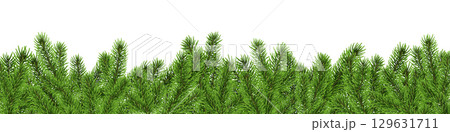 Christmas tree border, fir branch banner, pine background Christmas tree border, fir branch banner, pine background 129631711