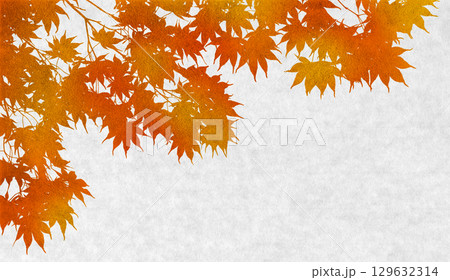 カエデのシルエットアート、紅く色づく秋の背景 129632314