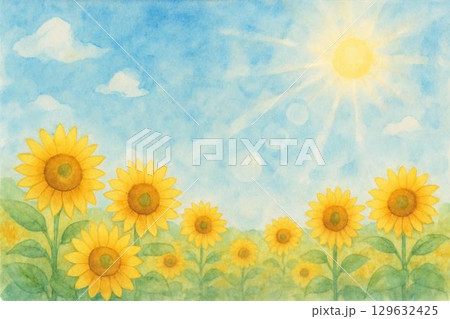 ヒマワリ畑 青空 ヒマワリ畑 青空 129632425