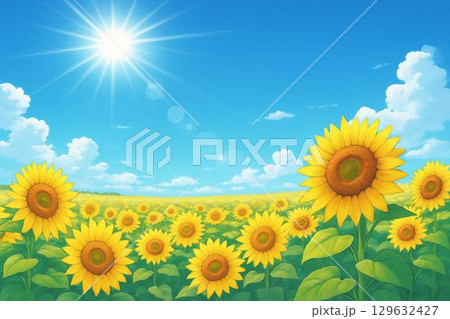 ヒマワリ畑 青空 ヒマワリ畑 青空 129632427