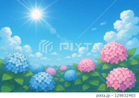 アジサイ 青空 アジサイ 青空 129632463