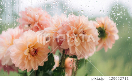 窓ガラスから見える雨に濡れる花 窓ガラスから見える雨に濡れる花 129632711