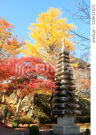 西教寺庭園の紅葉 129632822