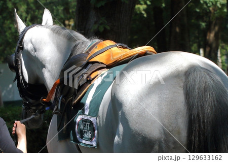ミュンヘン リエム競馬場のパドック ミュンヘン リエム競馬場のパドック 129633162