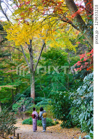 紅葉を見上げる和服姿の女性 紅葉を見上げる和服姿の女性 129633218