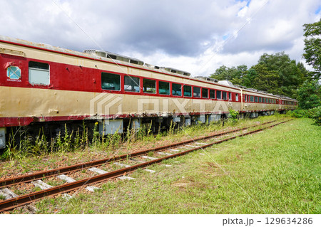 クロフォード公園のキハ82系気動車（2025年夏） 129634286