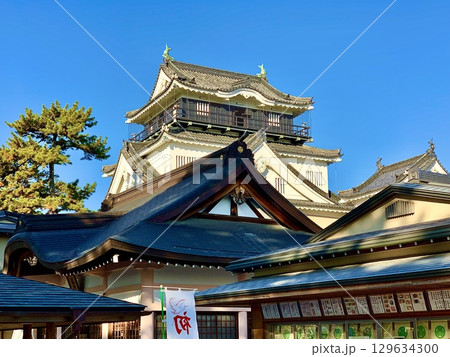 龍城神社拝殿と授与所越しに、青空の岡崎城天守閣を仰ぎ見る〈岡崎城公園/愛知県岡崎市〉 129634300