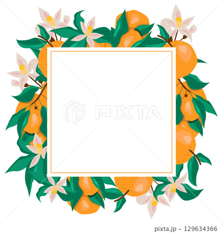 Square frame with oranges and flowers Square frame with oranges and flowers 129634366