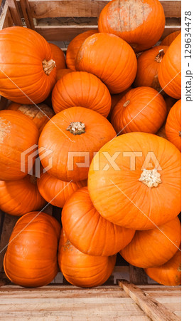 Orange pumpkins filling wooden crate at farmers market 129634478