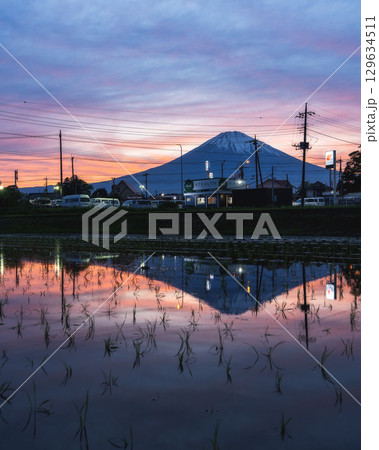 夕暮れの水田に映る逆さ富士（縦構図） 129634511
