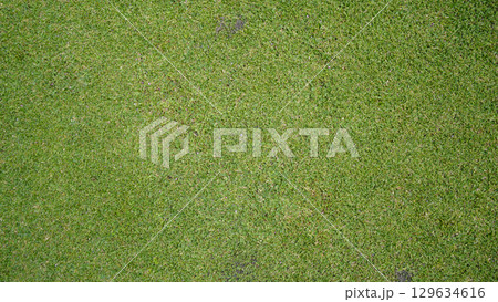 Green grass background, top view background of garden bright grass concept used for making green backdrop. 129634616