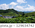 北海道の夏の神威岬 129634742