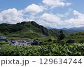 北海道の夏の神威岬 129634744