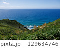 北海道の夏の神威岬 129634746