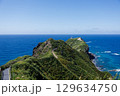 北海道の夏の神威岬 129634750