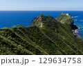 北海道の夏の神威岬 129634758
