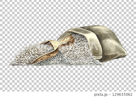 An overturned sack of rice and a wooden scoop. Hand-drawn watercolor illustration. Element of menu, recipe, and cookbook design. For banners, flyers, packaging, labels, and more. 129635062