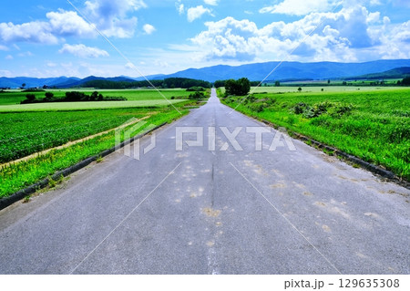 そばの花ビューポイント 白銀の丘 (北海道幌加内町) そばの花ビューポイント 白銀の丘 (北海道幌加内町) 129635308
