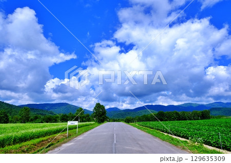 そばの花ビューポイント 白銀の丘 (北海道幌加内町) そばの花ビューポイント 白銀の丘 (北海道幌加内町) 129635309