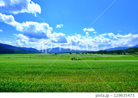そばの丘展望台からの風景 (北海道幌加内町) そばの丘展望台からの風景 (北海道幌加内町) 129635473