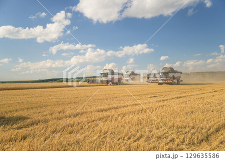 Combine harvesters working in an agricultural field by sunny summer day Combine harvesters working in an agricultural field by sunny summer day 129635586