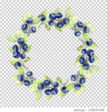 Hand-drawn illustration of a round frame or wreath featuring ripe blueberries and green leaves. Perfect for invitations, logo design, or food-related branding Hand-drawn illustration of a round frame or wreath featuring ripe blueberries and green leaves. Perfect for invitations, logo design, or food-related branding 129635599