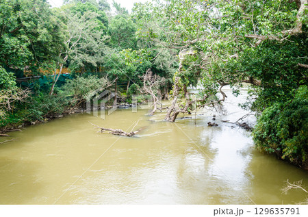 Kaveri River at Nisargadhama in Kushalnagar, Madikeri, Karnataka, India Kaveri River at Nisargadhama in Kushalnagar, Madikeri, Karnataka, India 129635791