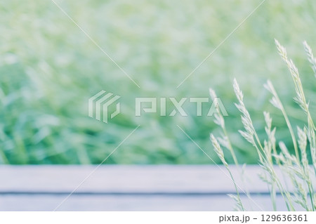 Soft green grass sways gently in the breeze, creating a serene atmosphere near wooden planks 129636361