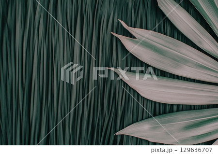 Elegant green foliage showcases beautiful textures in a serene natural setting 129636707